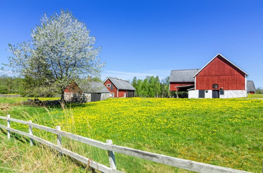 Image of a farm