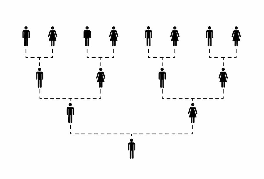 Anglia Research family tree