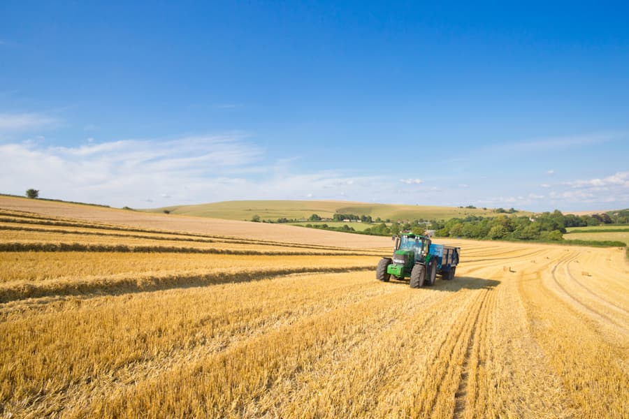 UK farm