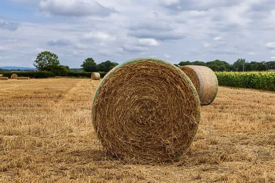 Agricultural property relief