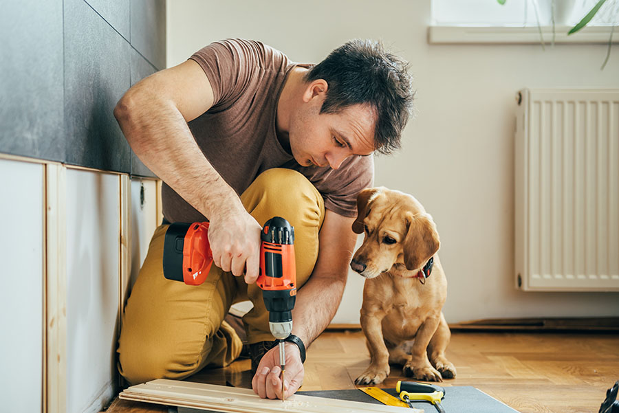 A small dog looks on while a man does DIY with a drill