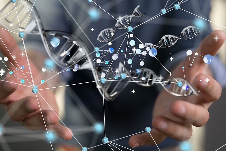 A graphic visualisation of a DNA network