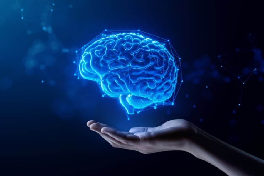 Hand holding digital picture of human brain