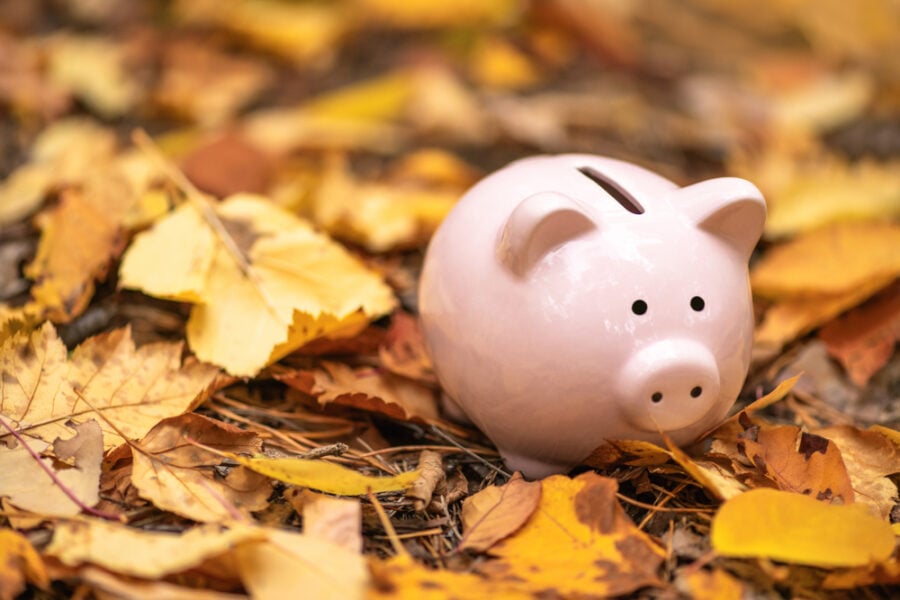 Piggy bank in leaves